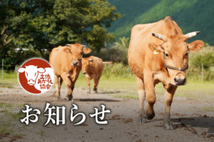 土佐あかうしを食べられるお店に「天下味 桟橋本店・南国店・土佐道路店」の記事をアップしました。