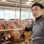 土佐あかうし生産者 秋澤さん（津野山畜産公社）の横顔｜高知県高岡郡梼原町