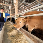 土佐あかうし生産者 横山さんの横顔｜高知県四万十市
