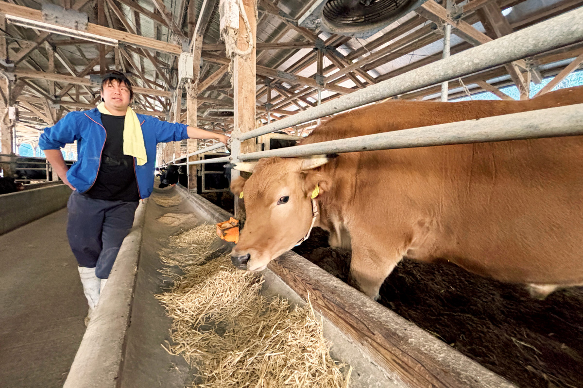 土佐あかうし生産者 横山さんの横顔｜高知県四万十市