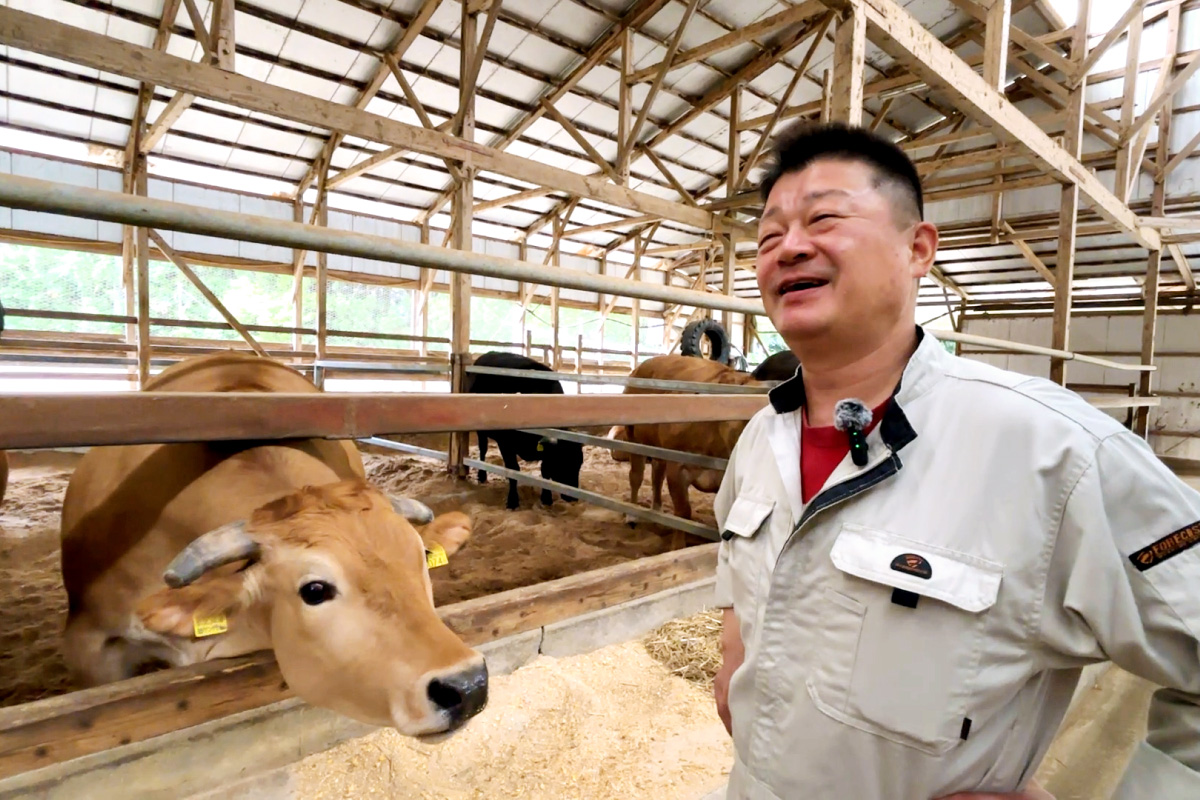 土佐あかうし生産者 筒井さんの横顔｜高知県土佐郡土佐町