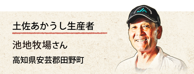 土佐あかうし生産者 池地牧場さんの紹介ページ